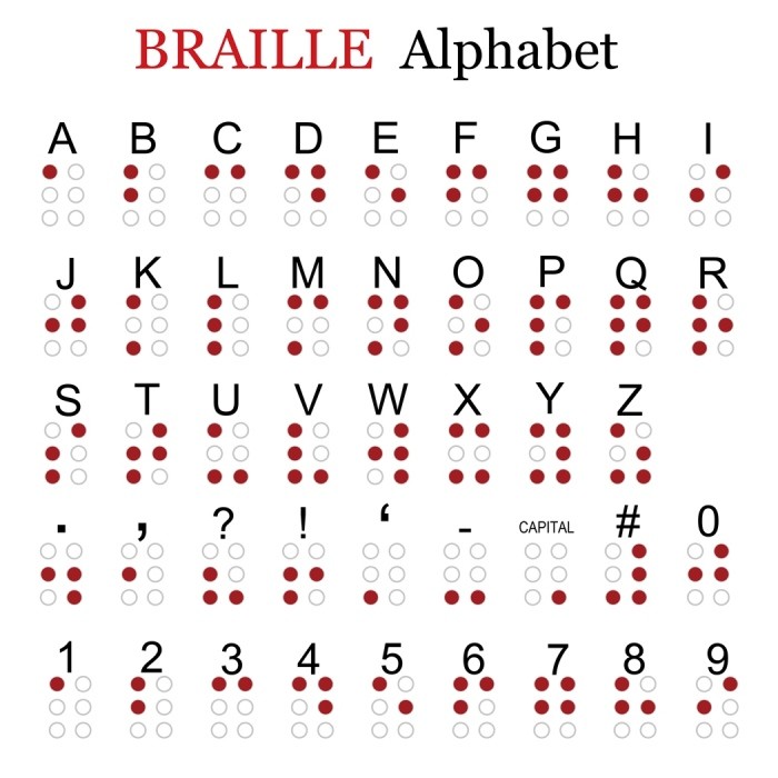 Doigts Touchant Le Tableau De L'alphabet Braille